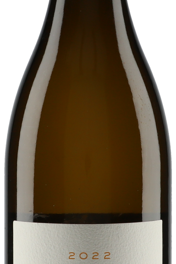 Arnaud Baillot Savagnin 2022