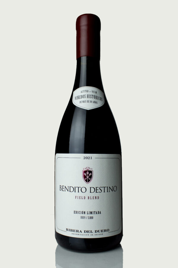 Bendito Destino | Field Blend | 2022